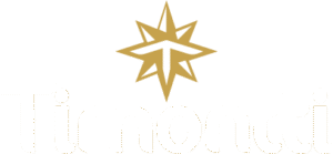 Timontti